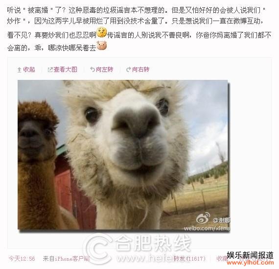 谢娜微博驳斥离婚传闻 传谣言的人哪凉快哪呆着去